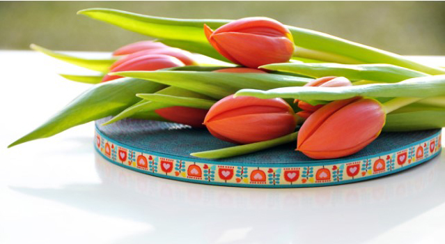 Stuha – tulipány
